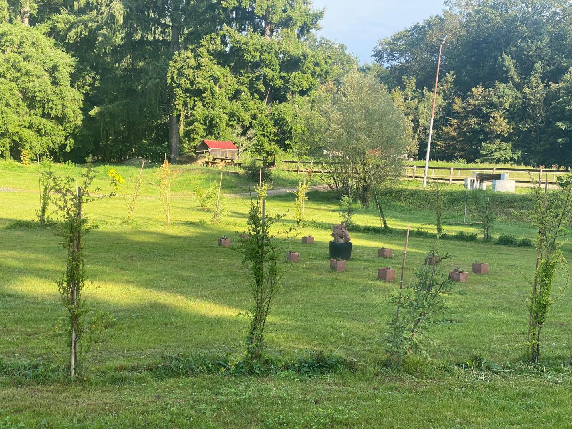 Maison Dans Parc Prive, Sports Et Loisirs Proche Golf Du Coudray Montceaux Le Coudray-Montceaux Eksteriør billede