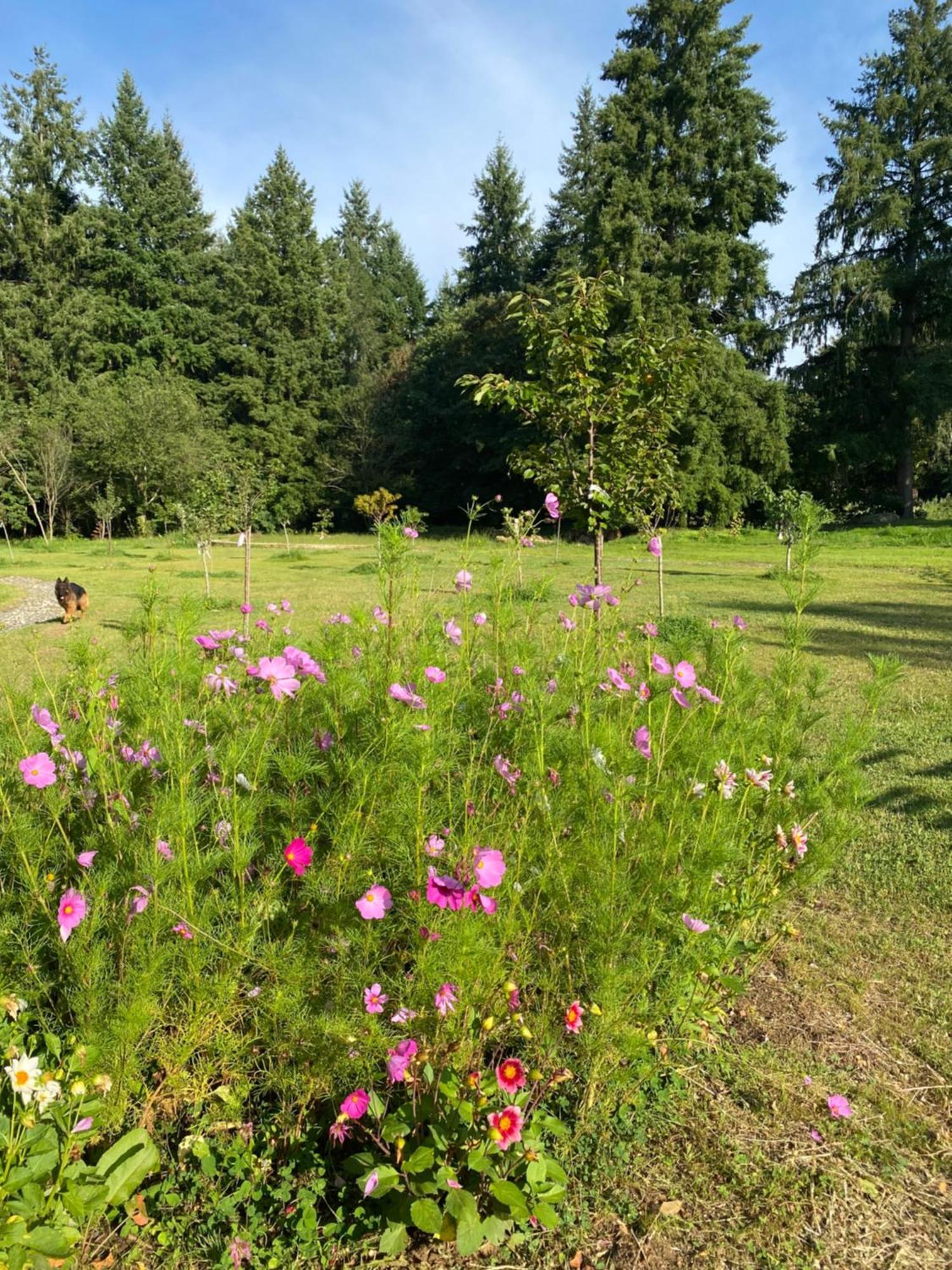 Maison Dans Parc Prive, Sports Et Loisirs Proche Golf Du Coudray Montceaux Le Coudray-Montceaux Eksteriør billede